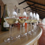 Como é visitar a vinícola Concha y Toro, no Chile