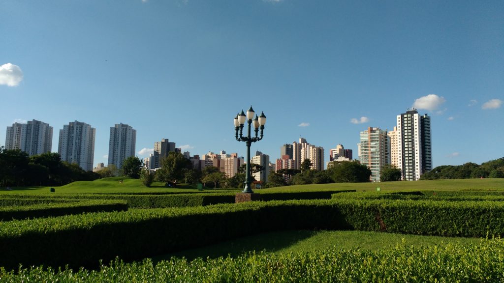 Os prédios de Curitiba se erguendo além do parque