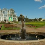 Por que o Jardim Botânico de Curitiba não é só um jardim com uma estufa