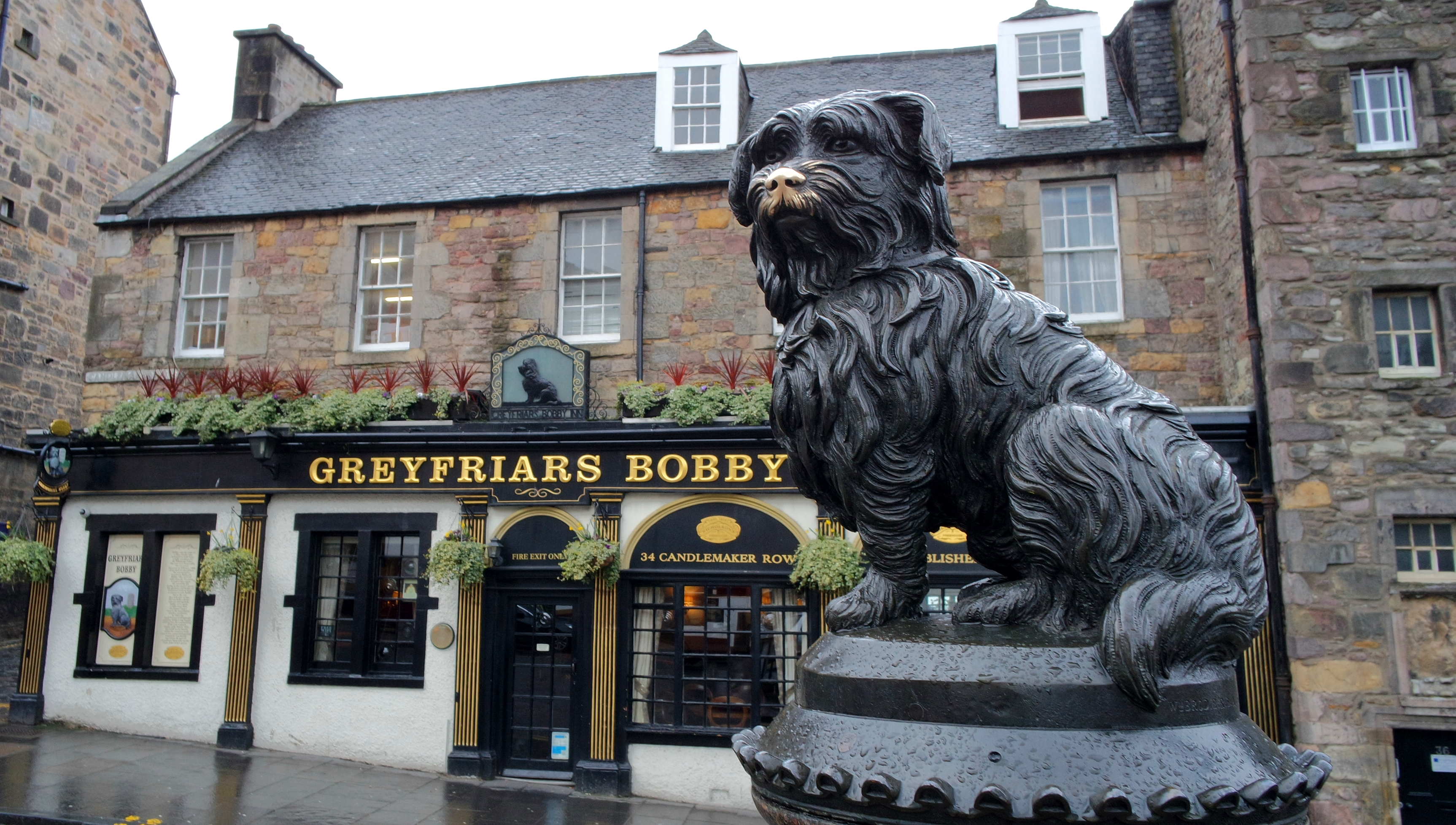 Greyfriars Bobby e o pub homônimo atrás