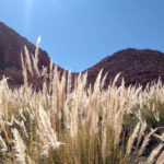 Termas de Puritama – Deserto do Atacama