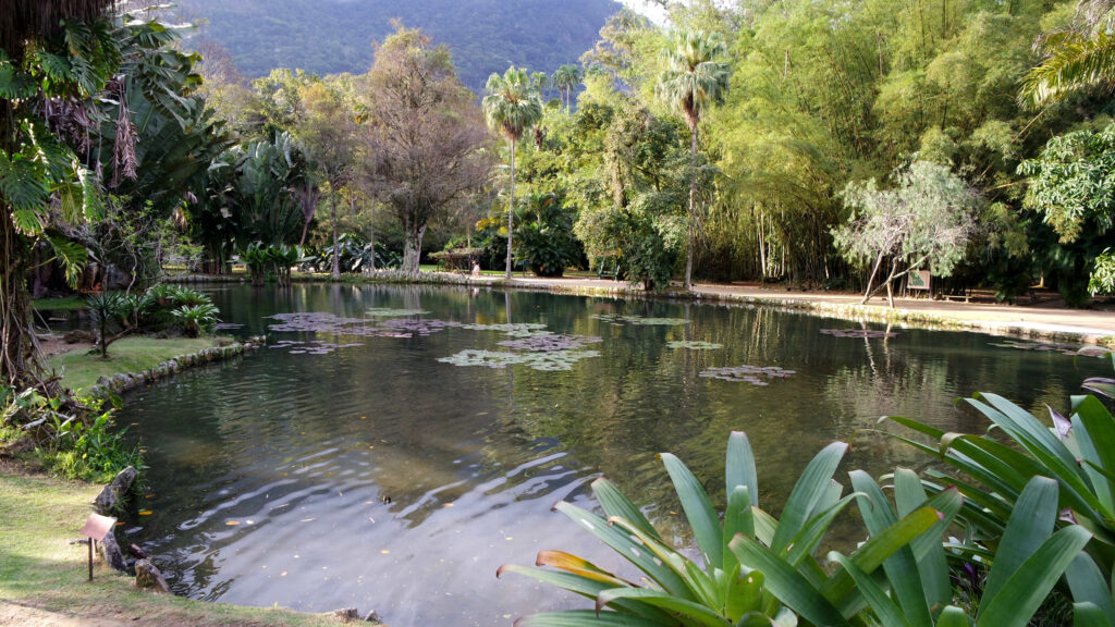 Um lago bucólico em meio ao jardim